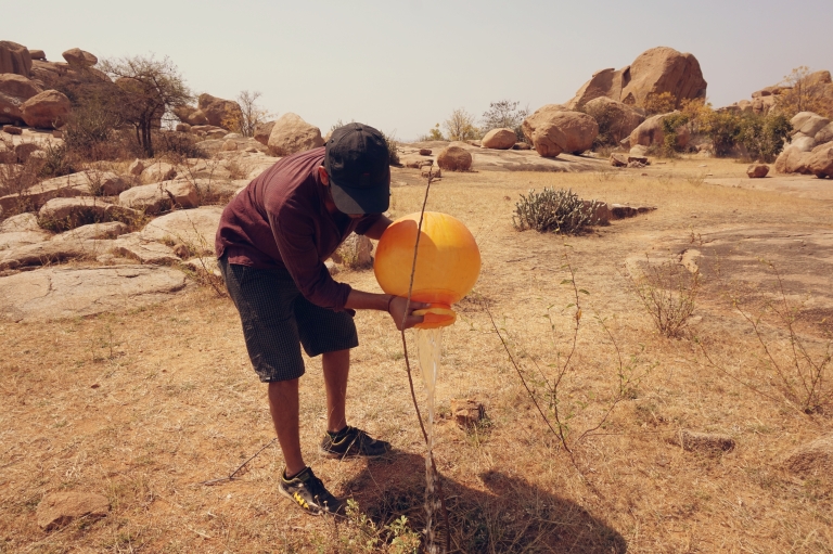 Rishi with his first tree in Hampi. 